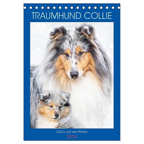 Traumhund Collie - Glück auf vier Pfoten (Tischkalender 2024 DIN A5 hoch), CALVENDO Monatskalender, Sigrid Starick