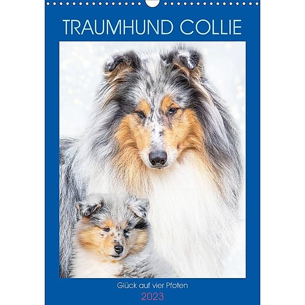 Traumhund Collie - Glück auf vier Pfoten (Wandkalender 2023 DIN A3 hoch), Sigrid Starick