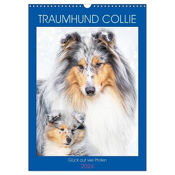 Traumhund Collie - Glück auf vier Pfoten (Wandkalender 2024 DIN A3 hoch), CALVENDO Monatskalender, Sigrid Starick