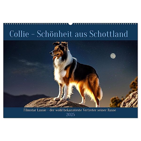 Traumhund Collie (Wandkalender 2025 DIN A2 quer), CALVENDO Monatskalender, Calvendo, Claudia Kleemann