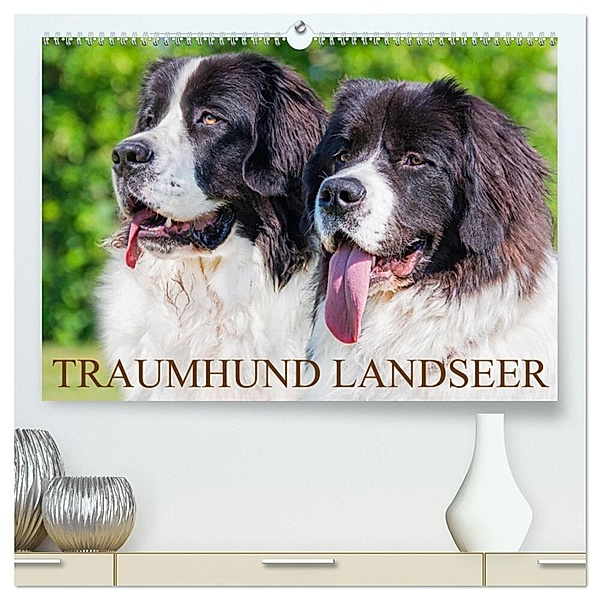 Traumhund Landseer (hochwertiger Premium Wandkalender 2024 DIN A2 quer), Kunstdruck in Hochglanz, Sigrid Starick
