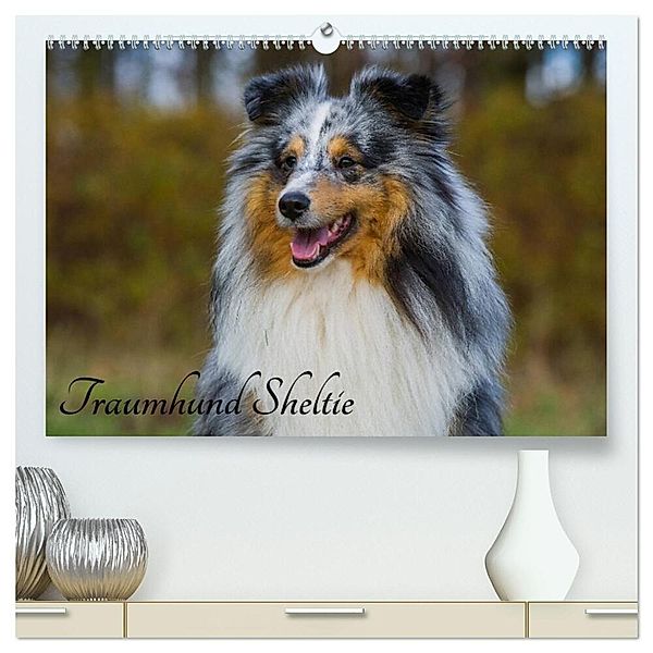 Traumhund Sheltie (hochwertiger Premium Wandkalender 2025 DIN A2 quer), Kunstdruck in Hochglanz, Calvendo, Sigrid Starick