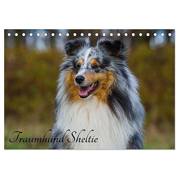 Traumhund Sheltie (Tischkalender 2024 DIN A5 quer), CALVENDO Monatskalender, Sigrid Starick