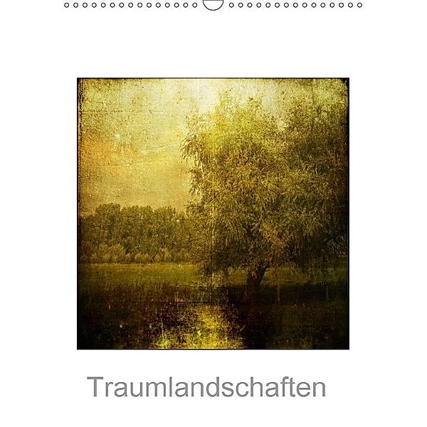 Traumlandschaften (Wandkalender 2017 DIN A3 hoch), Karin Dederichs