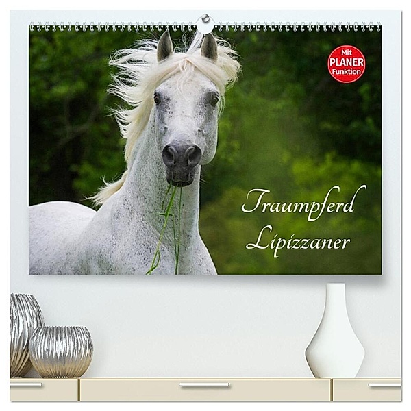 Traumpferd Lipizzaner (hochwertiger Premium Wandkalender 2024 DIN A2 quer), Kunstdruck in Hochglanz, Sigrid Starick