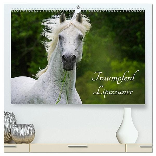 Traumpferd Lipizzaner (hochwertiger Premium Wandkalender 2025 DIN A2 quer), Kunstdruck in Hochglanz, Calvendo, Sigrid Starick
