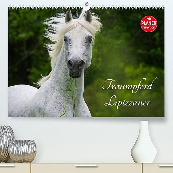 Traumpferd Lipizzaner (Premium, hochwertiger DIN A2 Wandkalender 2023, Kunstdruck in Hochglanz), Sigrid Starick