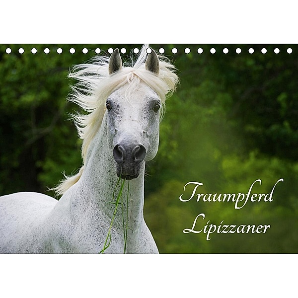 Traumpferd Lipizzaner (Tischkalender 2021 DIN A5 quer), Sigrid Starick