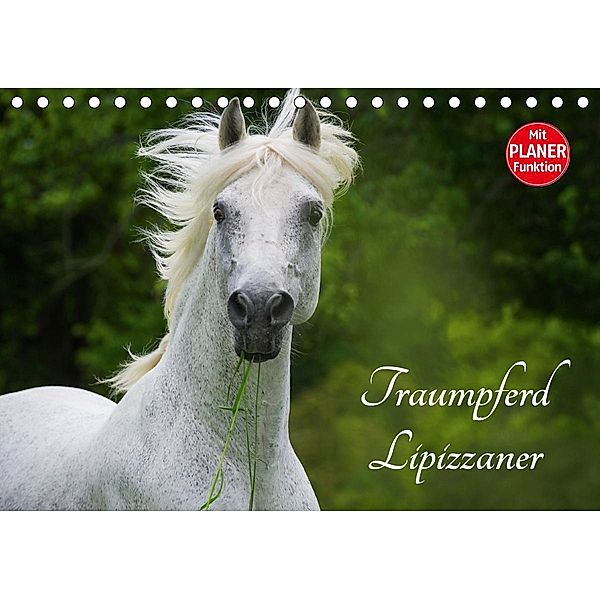 Traumpferd Lipizzaner (Tischkalender 2021 DIN A5 quer), Sigrid Starick