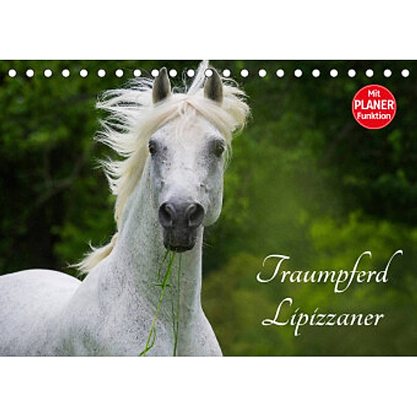 Traumpferd Lipizzaner (Tischkalender 2022 DIN A5 quer), Sigrid Starick