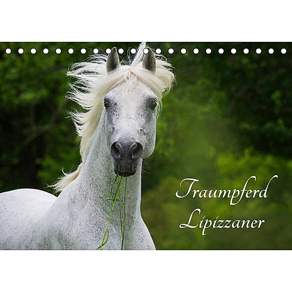 Traumpferd Lipizzaner (Tischkalender 2023 DIN A5 quer), Sigrid Starick