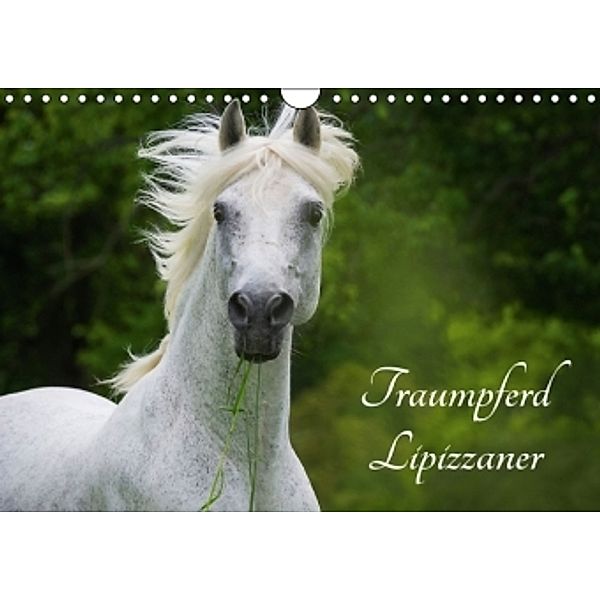 Traumpferd Lipizzaner (Wandkalender 2016 DIN A4 quer), Sigrid Starick