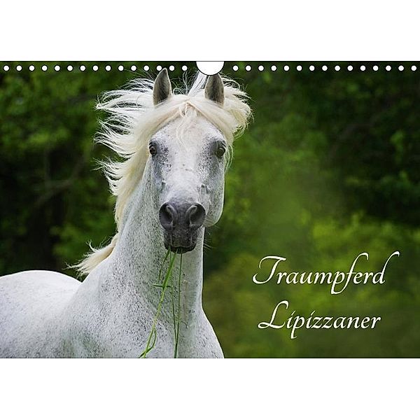 Traumpferd Lipizzaner (Wandkalender 2017 DIN A4 quer), Sigrid Starick