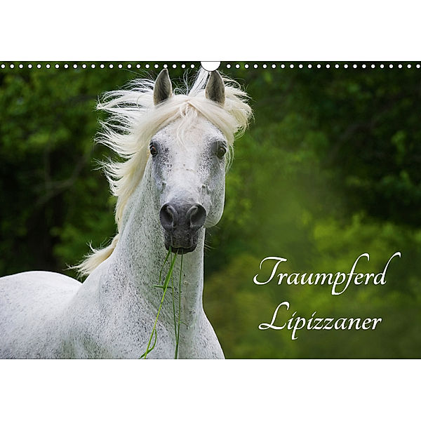 Traumpferd Lipizzaner (Wandkalender 2020 DIN A3 quer), Sigrid Starick