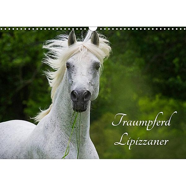 Traumpferd Lipizzaner (Wandkalender 2023 DIN A3 quer), Sigrid Starick