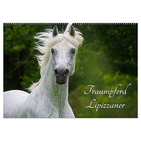 Traumpferd Lipizzaner (Wandkalender 2024 DIN A2 quer), CALVENDO Monatskalender, Sigrid Starick