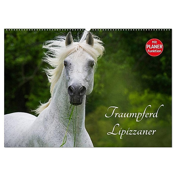 Traumpferd Lipizzaner (Wandkalender 2024 DIN A2 quer), CALVENDO Monatskalender, Sigrid Starick