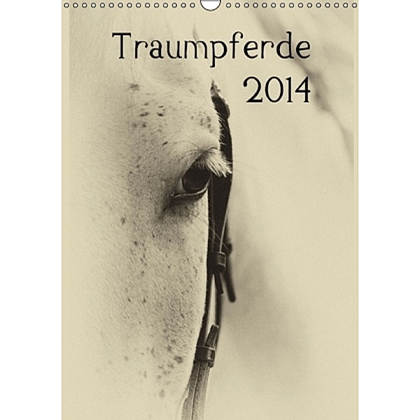 Traumpferde 2014 (Wandkalender 2014 DIN A3 hoch), vdp-fotokunst.de