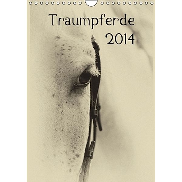 Traumpferde 2014 (Wandkalender 2014 DIN A4 hoch), vdp-fotokunst.de