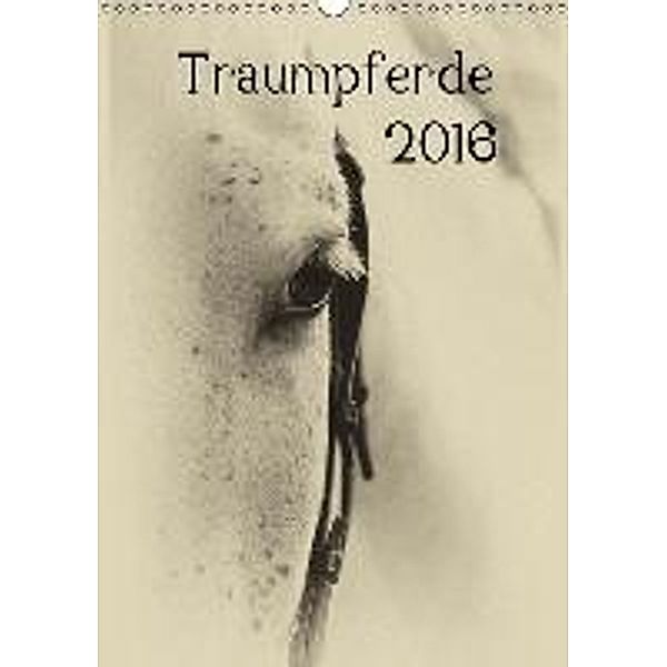 Traumpferde 2016 (Wandkalender 2016 DIN A3 hoch), vdp-fotokunst