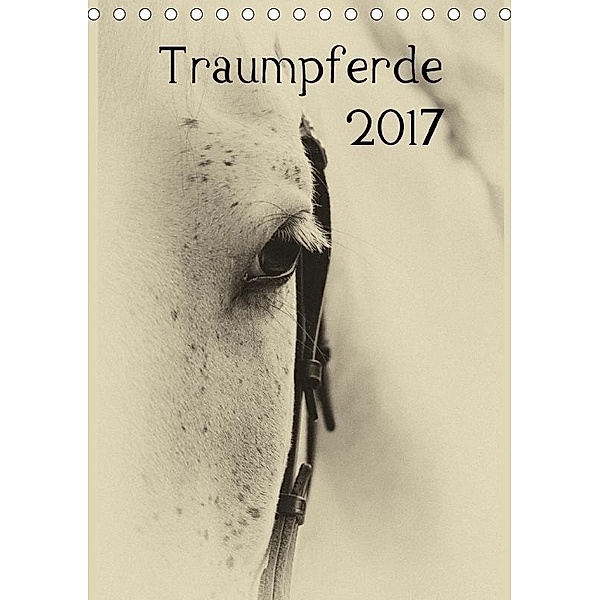 Traumpferde 2017 (Tischkalender 2017 DIN A5 hoch), vdp-fotokunst.de