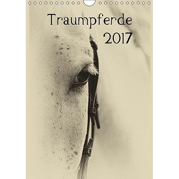 Traumpferde 2017 (Wandkalender 2017 DIN A4 hoch), vdp-fotokunst.de