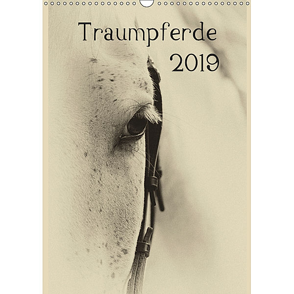 Traumpferde 2019 (Wandkalender 2019 DIN A3 hoch), vdp-fotokunst. de