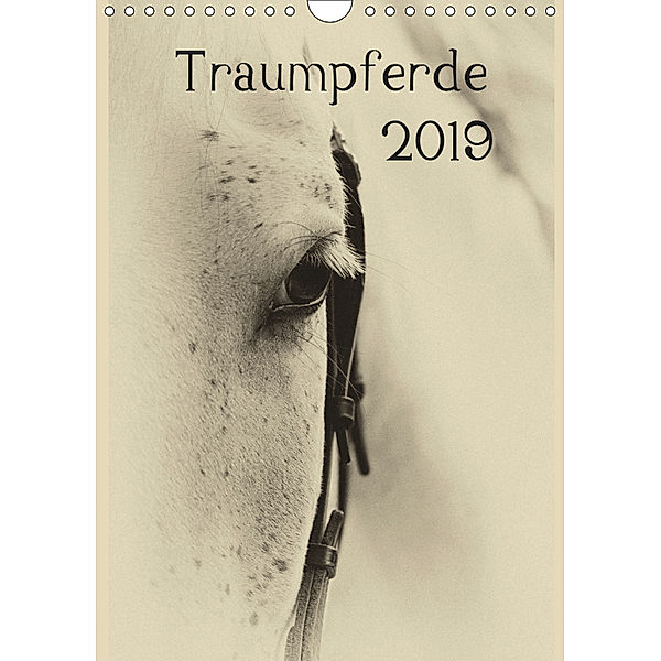 Traumpferde 2019 (Wandkalender 2019 DIN A4 hoch), vdp-fotokunst. de