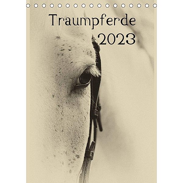 Traumpferde 2023 (Tischkalender 2023 DIN A5 hoch), vdp-fotokunst.de