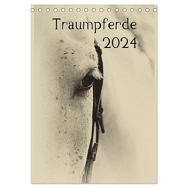 Traumpferde 2024 (Tischkalender 2024 DIN A5 hoch), CALVENDO Monatskalender, vdp-fotokunst.de