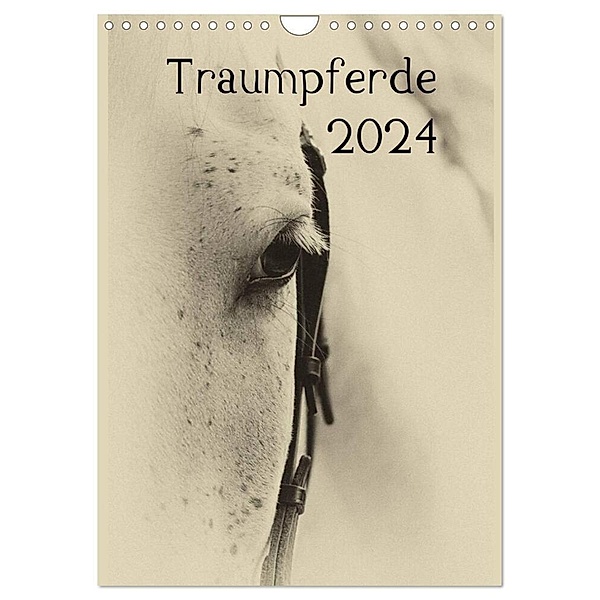 Traumpferde 2024 (Wandkalender 2024 DIN A4 hoch), CALVENDO Monatskalender, vdp-fotokunst.de