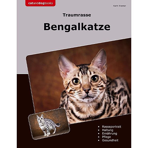 Traumrasse Bengalkatze, Karin Kramer