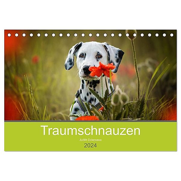 Traumschnauzen (Tischkalender 2024 DIN A5 quer), CALVENDO Monatskalender, Judith dzierzawa