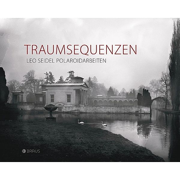 Traumsequenzen, Leo Seidel