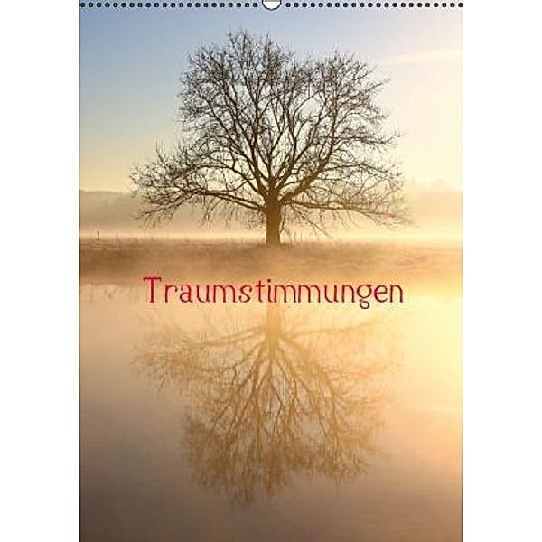 Traumstimmungen (Wandkalender 2016 DIN A2 hoch), Bernhard Kaiser