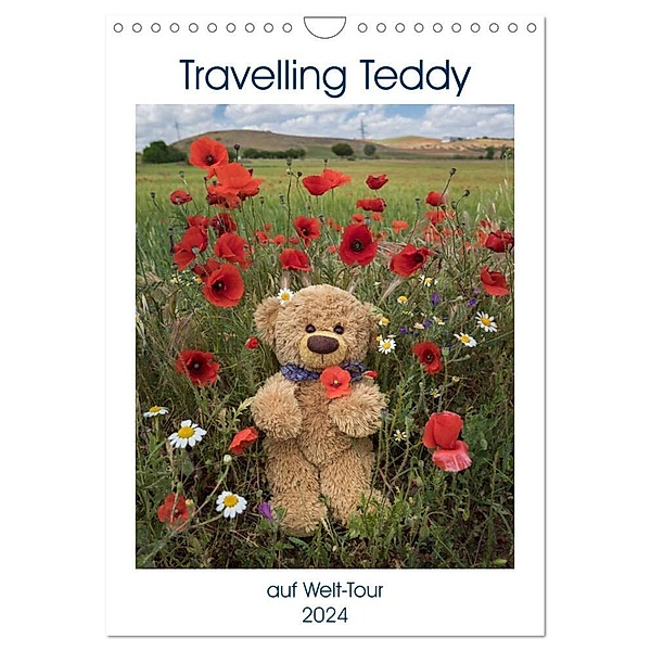 Travelling Teddy auf Welt-Tour (Wandkalender 2024 DIN A4 hoch), CALVENDO Monatskalender, Christian Kneidinger