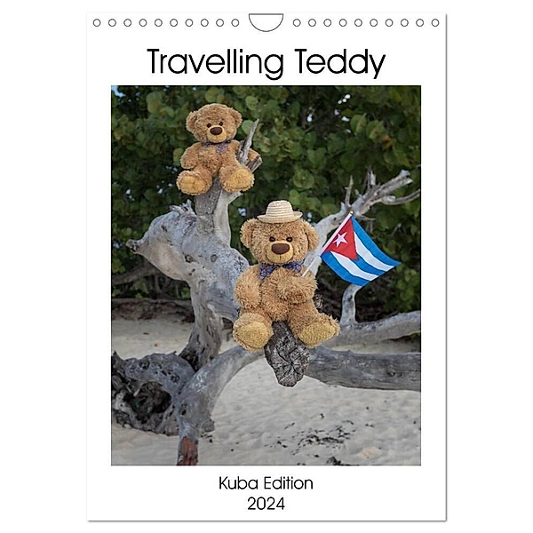 Travelling Teddy Kuba Edition 2024 (Wandkalender 2024 DIN A4 hoch), CALVENDO Monatskalender, Christian Kneidinger C-K-Images