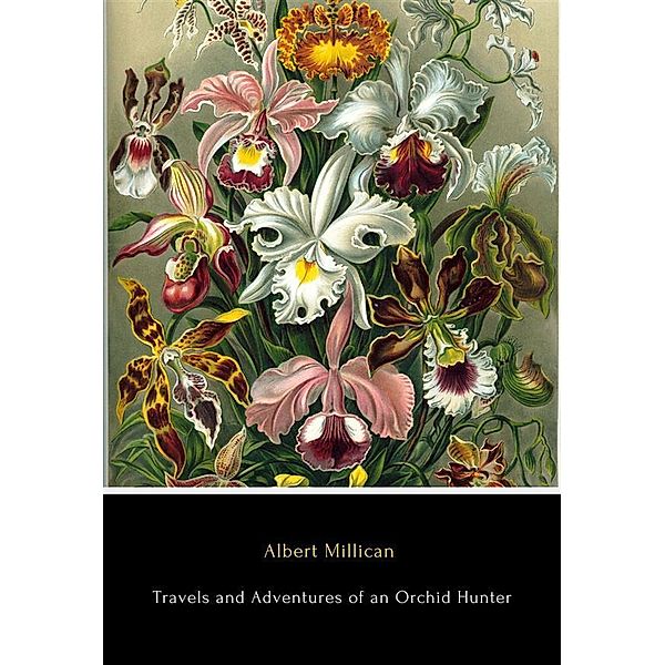 Travels and Adventures of an Orchid Hunter, Albert Millican