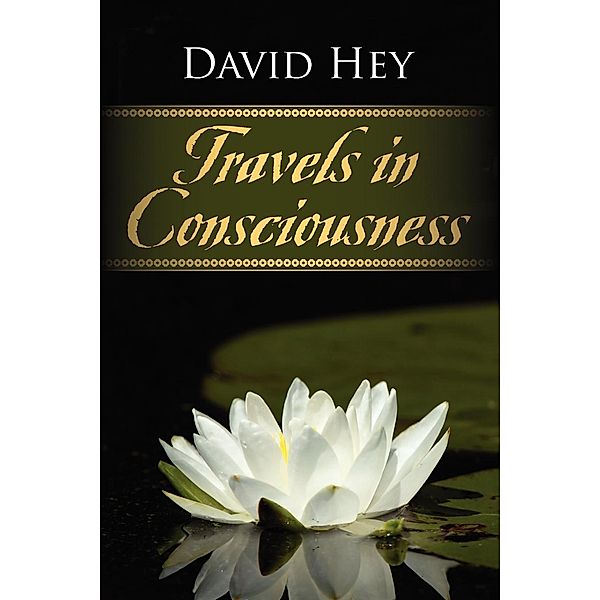 Travels in Consciousness, David Hey