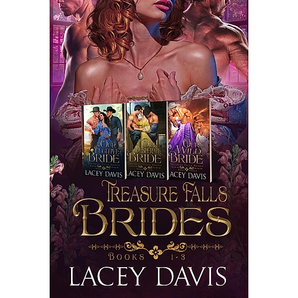 Treasure Falls Brides Books 1-3 / Treasure Falls Brides, Lacey Davis