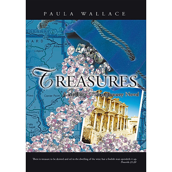 Treasures: a Mallory O’Shaughnessy Novel, Paula Wallace