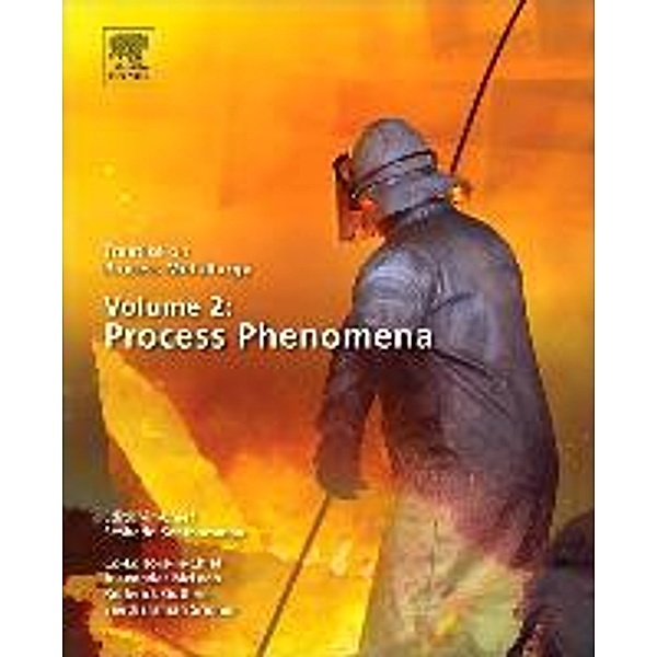 Treatise on Process Metallurgy, Volume 2: Process Phenomena, Seshadri Seetharaman