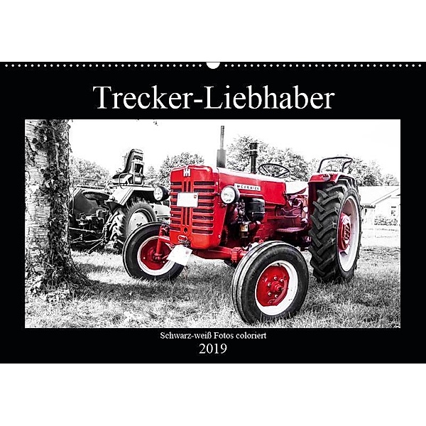 Trecker-Liebhaber (Wandkalender 2019 DIN A2 quer), Andrea Dreegmeyer