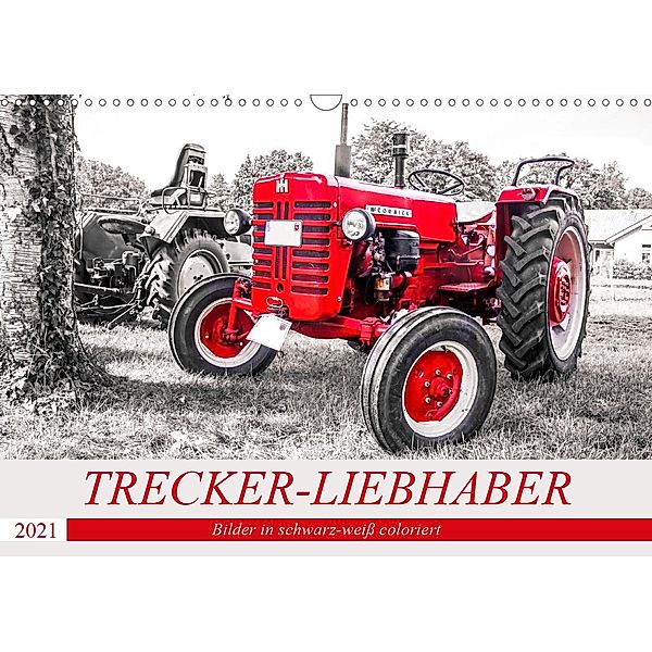 Trecker-Liebhaber (Wandkalender 2021 DIN A3 quer), Andrea Dreegmeyer