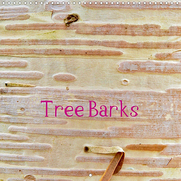 Tree Barks (Wall Calendar 2023 300 × 300 mm Square), Clemens Stenner