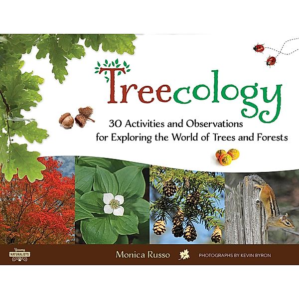 Treecology, Monica Russo