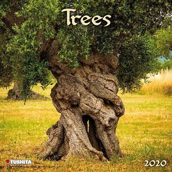 Trees 2020