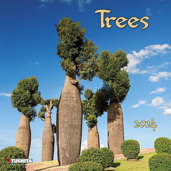 Trees  2024