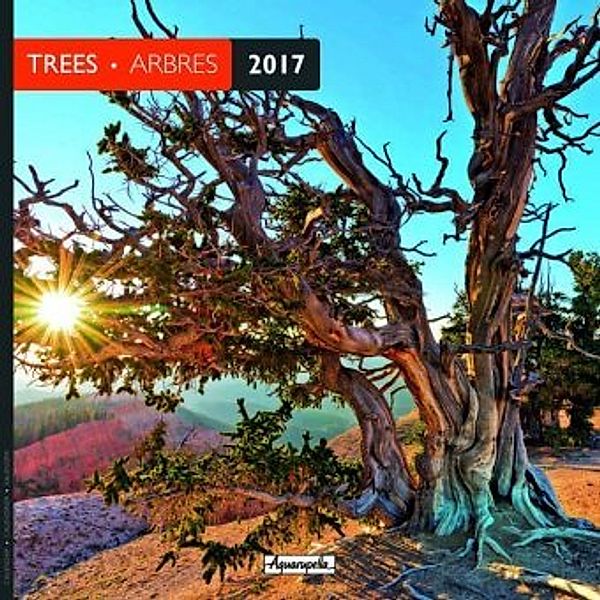 Trees / Arbres 2017