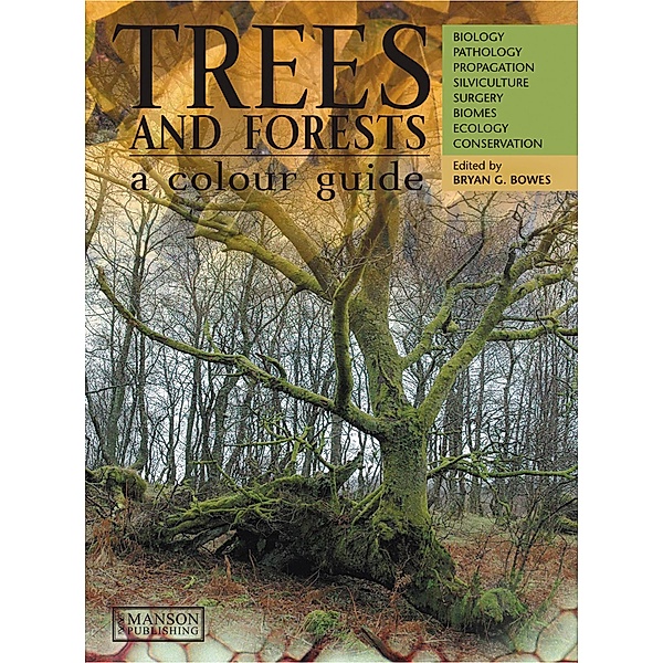 Trees & Forests, A Colour Guide, Bryan G. Bowes